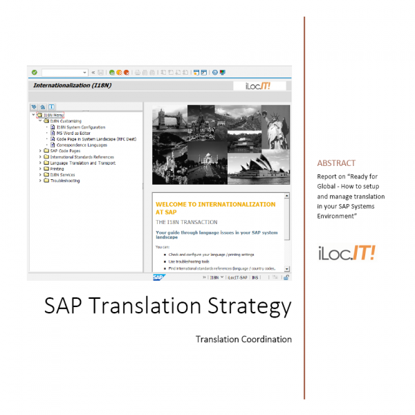 SAP Translation Strategy